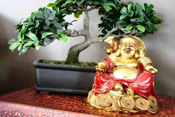 Felicidade e prosperidade na casa segundo o Feng Shui